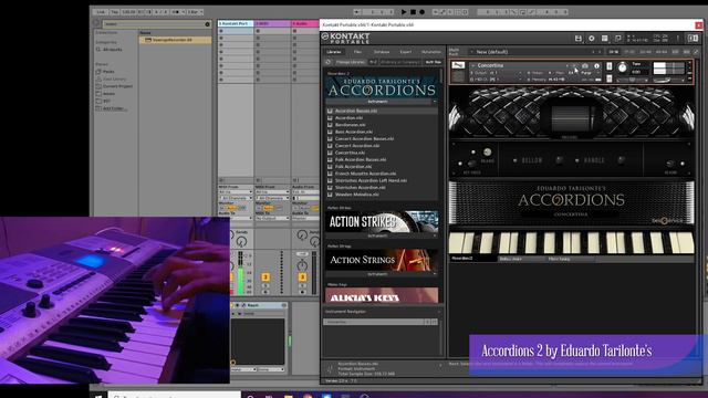 Accordions 2 | Best Service | Accordion Library | No Talk Only Sounds Demo