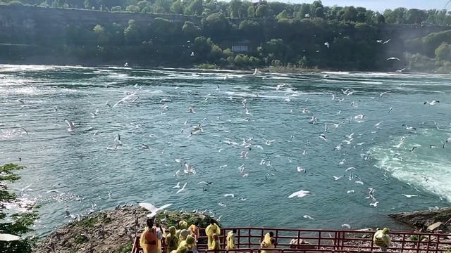 Путешествие на Ниагарский водопад США / Trip To Niagara Falls, New York