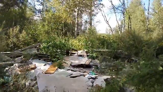 VID 20160821 155129 смотреть онлайн