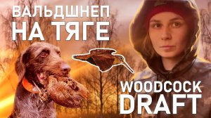 Охота на вальдшнепа весной / Woodcock hunting in spring