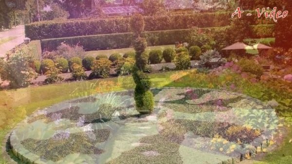 Великолепные примеры ландшафтного дизайна / Landscape design of the garden Do it yourself
