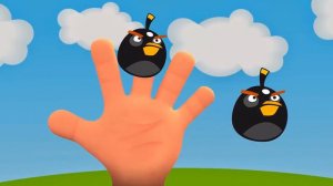 Finger Family Song - Angry Birds - Finger Family Song and Nursery Rhymes for Children