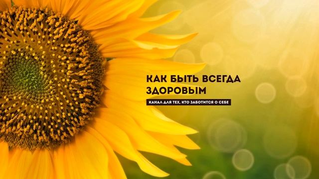 Новые нормы безопасности в ЕС по продуктам питания смотреть онлайн