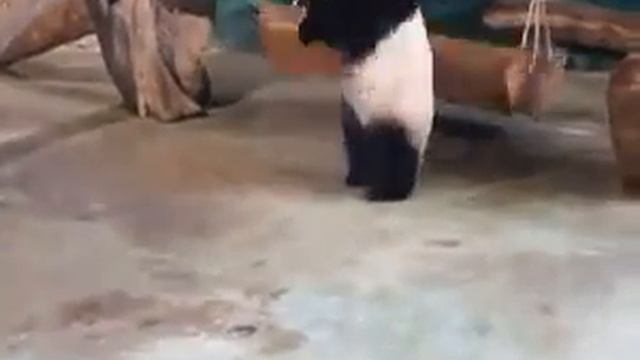 Когда пришел домой,и хочешь быстро леч спать,что-бы никто не спалил что ты бухой смотреть онлайн