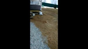 Грунтовые воды на участке и как с этим бороться.