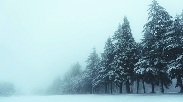Snowfall | Winter Chill Mix смотреть онлайн