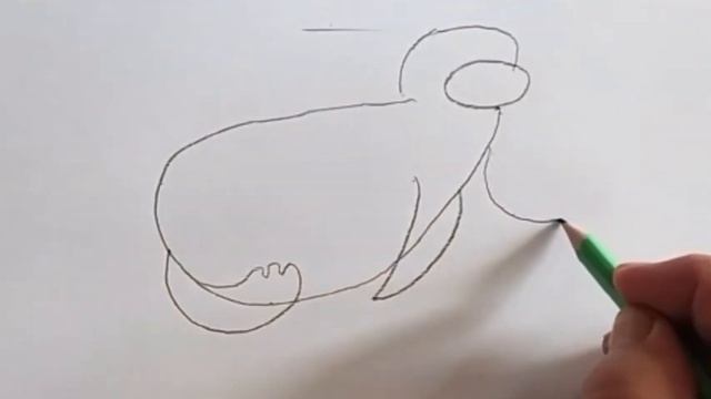 Морж. Рисуем карандашом. Педагог Цыганкова Т.В. смотреть онлайн