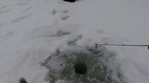 Вот ОНА, НАСТОЯЩАЯ зимняя РЫБАЛКА на ОБИ!