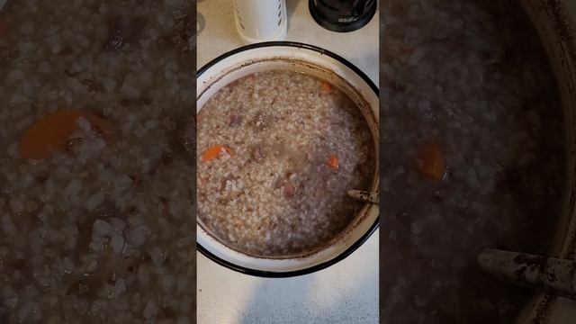 12 октября 2022 г. Суп - каша для собаки ? ?