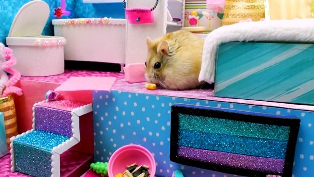 ?Cute Tiny Hamster in a cardboard mansion with mega pool ? DIY hamster house ham ham смотреть онлайн