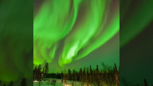 День зелёного света! смотреть онлайн