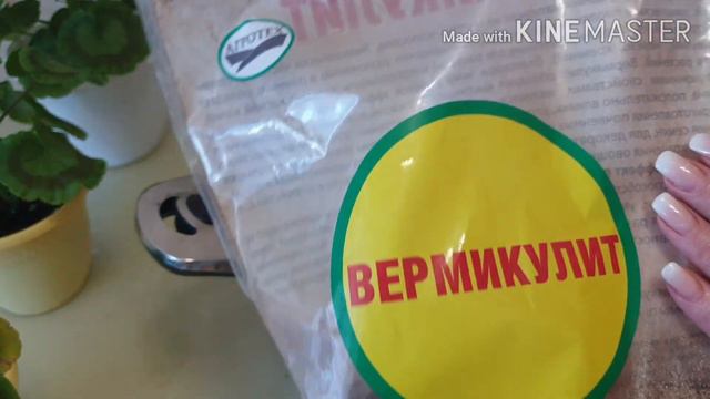 9.Эксперимент по прищипке пеларгонии смотреть онлайн