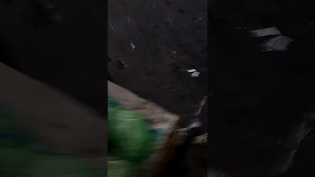 Город Пушкино. смотреть онлайн