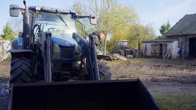 W Borowskich Ciborach Wykopki Skończone Przygotowanie Ziemniaków Do Zimowania Rolnicy Z Podlasia