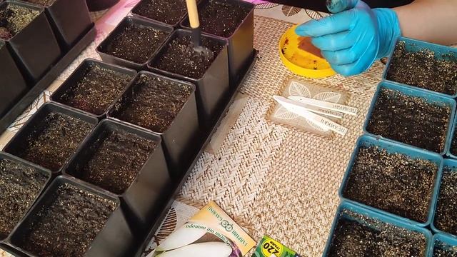 посадка перца и баклажанов смотреть онлайн