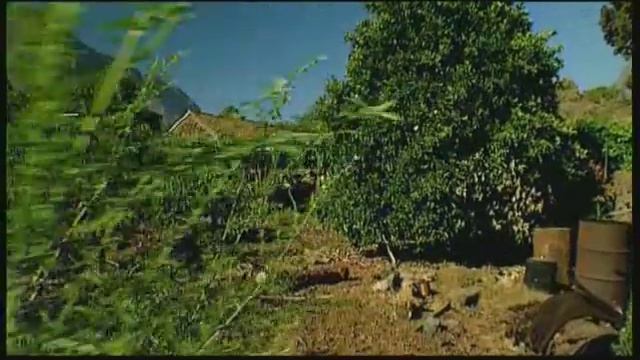 Parque Nacional - La Caldera De Taburiente - 3º