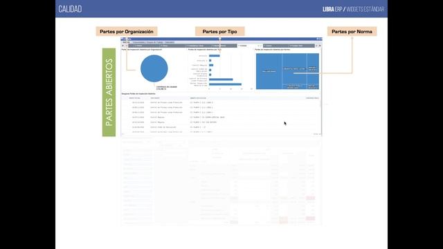 WEBINAR LIBRA XXII - Widgets Estándar смотреть онлайн