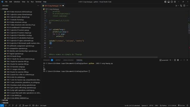KWARGS y ARGS en Python (Clase #18) смотреть онлайн
