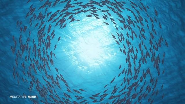 SOUNDS Of OCEAN | 639Hz + 432Hz Music To Calm Your Heart | Anhata Chakra Healing + Nature Frequency