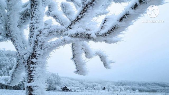 Кира долго не была в квартире сына. Истории из жизни. смотреть онлайн