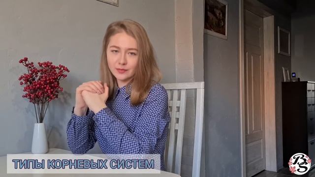 ВСЕ,ЧТО НУЖНО ЗНАТЬ О КОРНЕ|ГЛАВНЫЙ КОРЕНЬ/БОКОВЫЕ/ПРИДАТОЧНЫЕ/КОРНЕВЫЕ СИСТЕМЫ/ФУНКЦИИ КОРНЯ