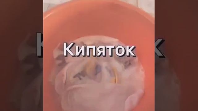 КАК ОТБЕЛИТЬ ЗАНОШЕННВЕ НОСКИ смотреть онлайн