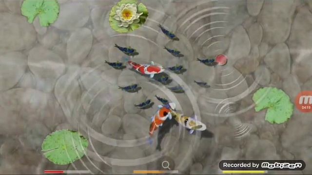Game for Child (Many Colours of Fish ) смотреть онлайн