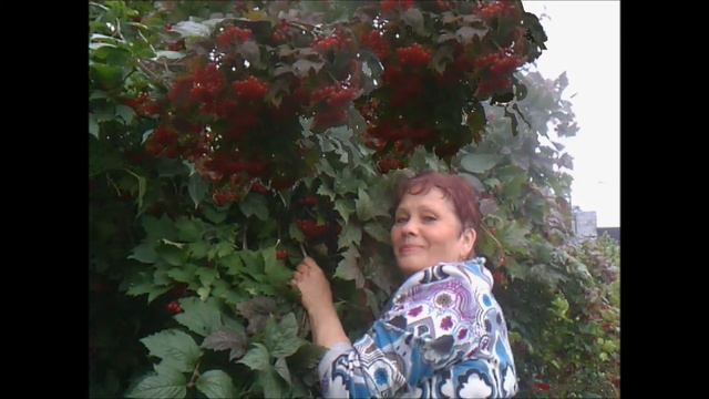 Просто быть счастливой самой ,самой И кому -то счастье приносить смотреть онлайн