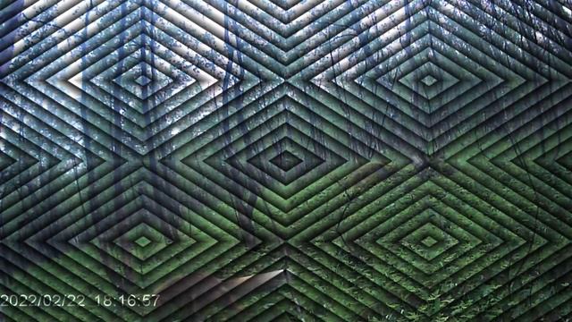 Сделал первую фазу прививки/  фотоловушка/ лисица