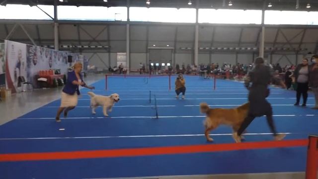 Форд на выставке 8 и 9 января 2022 смотреть онлайн