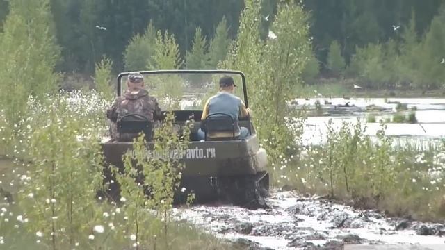 Снегоболотоход Медведь на торфяннике смотреть онлайн