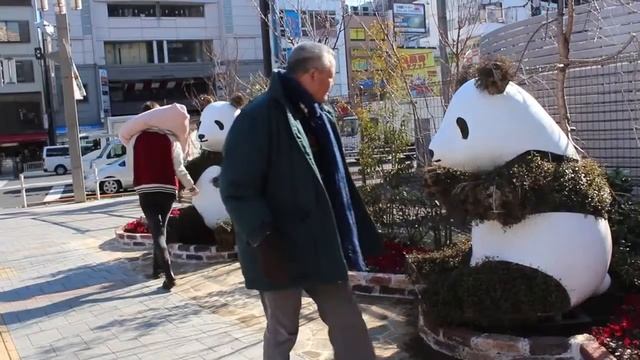 Подушка обнималка - обнимашка (японская подушка в виде руки для обнимания) смотреть онлайн