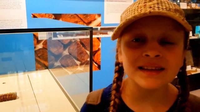 РОБОТЫ в SCIENCE MUSEUM музей науки | Бирмингем | Англия / фестиваль танца смотреть онлайн