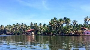 Весь штат Керала в одном видео / Индия #4