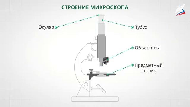Увеличительные приборы