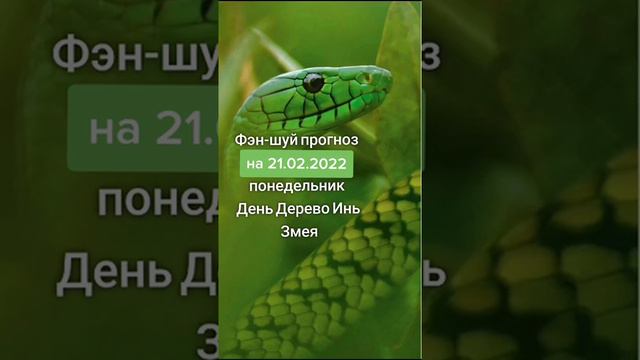 Фэн шуй прогноз на 21 февраля 2022 смотреть онлайн