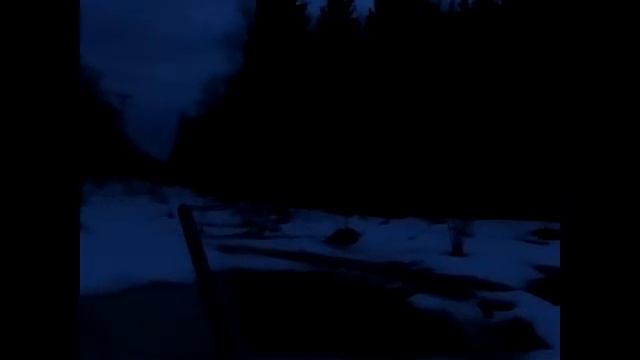 Охота на вальдшнепа, сезон 2022, в кругу друзей смотреть онлайн