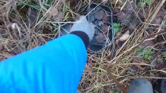 ПОИСК МЕТАЛЛОЛОМА ПО МУСОРКАМ! ПОСЛЕДНИЙ ПРЕДЗИМНИЙ СБОР ВТОРСЫРЬЯ. РАСКОПАЛ СБРОС ЧЕРМЕТА. смотреть онлайн