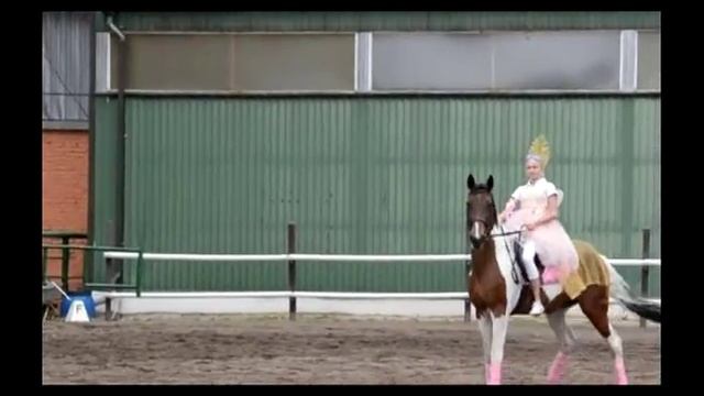 Турнир - 2016 смотреть онлайн