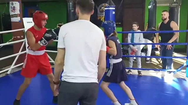 Лисюк Дмитро матчева зустріч місто Житомир клуб РИНГ проти боксера з Черкащини смотреть онлайн