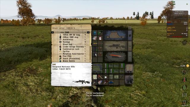 Arma2, DayZ Mod, Overpoch, Chernarus, смотреть онлайн