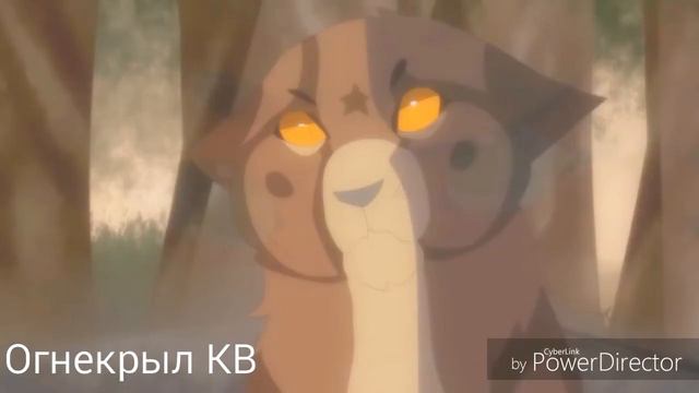 {Коты-Воители}||▪□Белка и Ежевика□▪||[Малиновый закат] смотреть онлайн