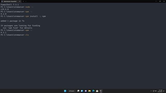 Quick Dev Environment Setup - Windows 11 смотреть онлайн