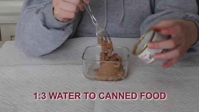 Orphaned Kitten Care: How to Videos - How to Wean Orphaned Kittens onto Solid Foods смотреть онлайн
