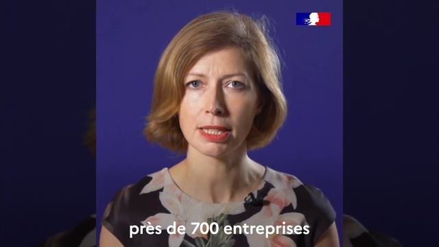 100 % Diplo : La stratégie de la France en Indopacifique смотреть онлайн