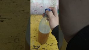 квас березовый на пиве