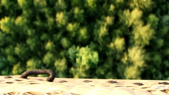 полет на воздушном шаре TOUCH THE SKY смотреть онлайн