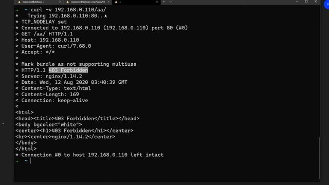 #12 DevOps From Scratch | Configuring Nginx, VirtualHosting, /etc/hosts, Curl смотреть онлайн