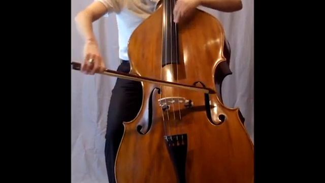 Shen SB288 3/4 bass смотреть онлайн