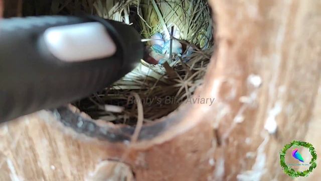 ???? ???????? ???????? ?? ????? ??? ????? | ???? ???????? ?????? | ?????'? ???? ?????? смотреть онлайн